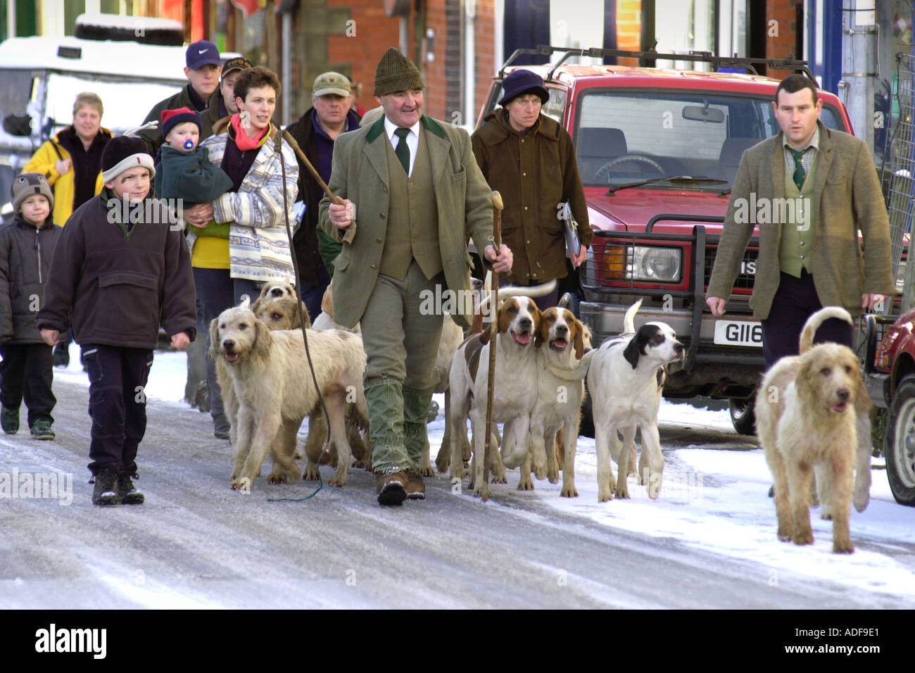 David Davies Hunt pack of fox hounds gather for the annual Boxing Day meet in Llanidloes Powys Mid Wales UK Stock Photo