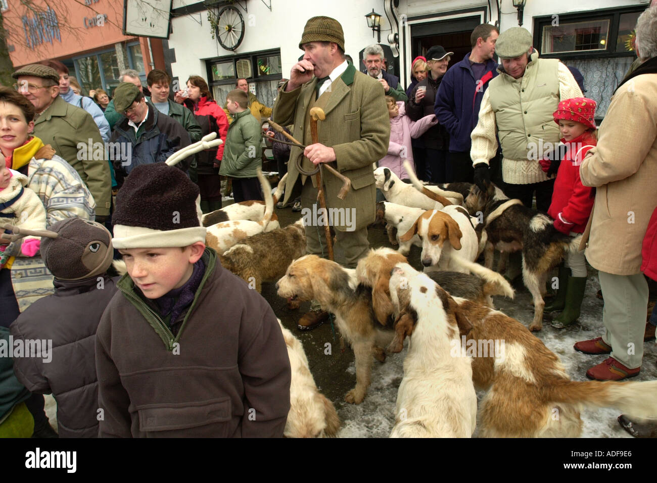 David Davies Hunt pack of fox hounds gather for the annual Boxing Day meet in Llanidloes Powys Mid Wales UK Stock Photo