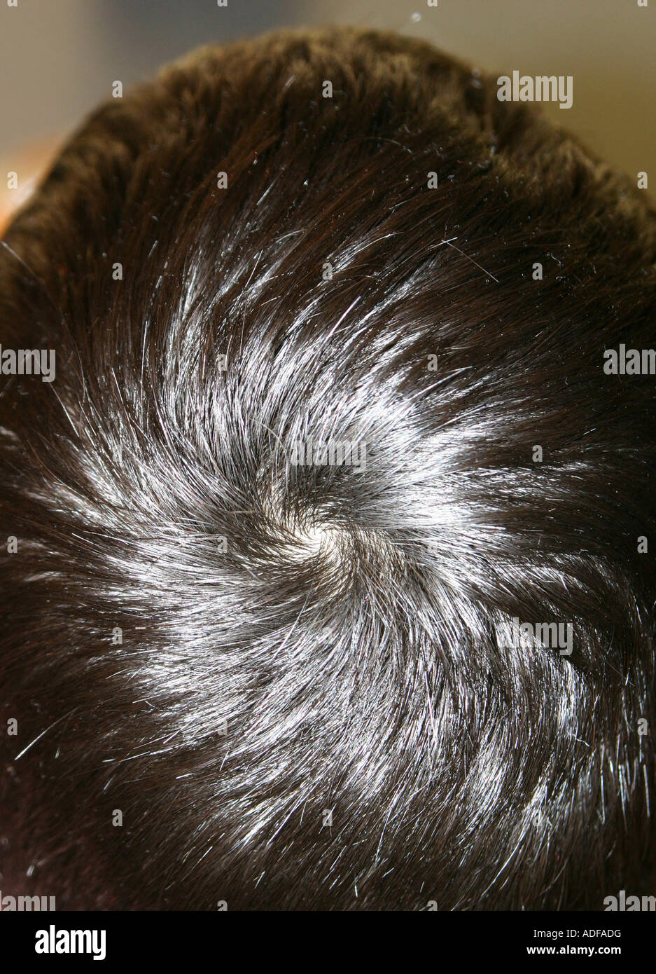 Crown of boys head Stock Photo Alamy