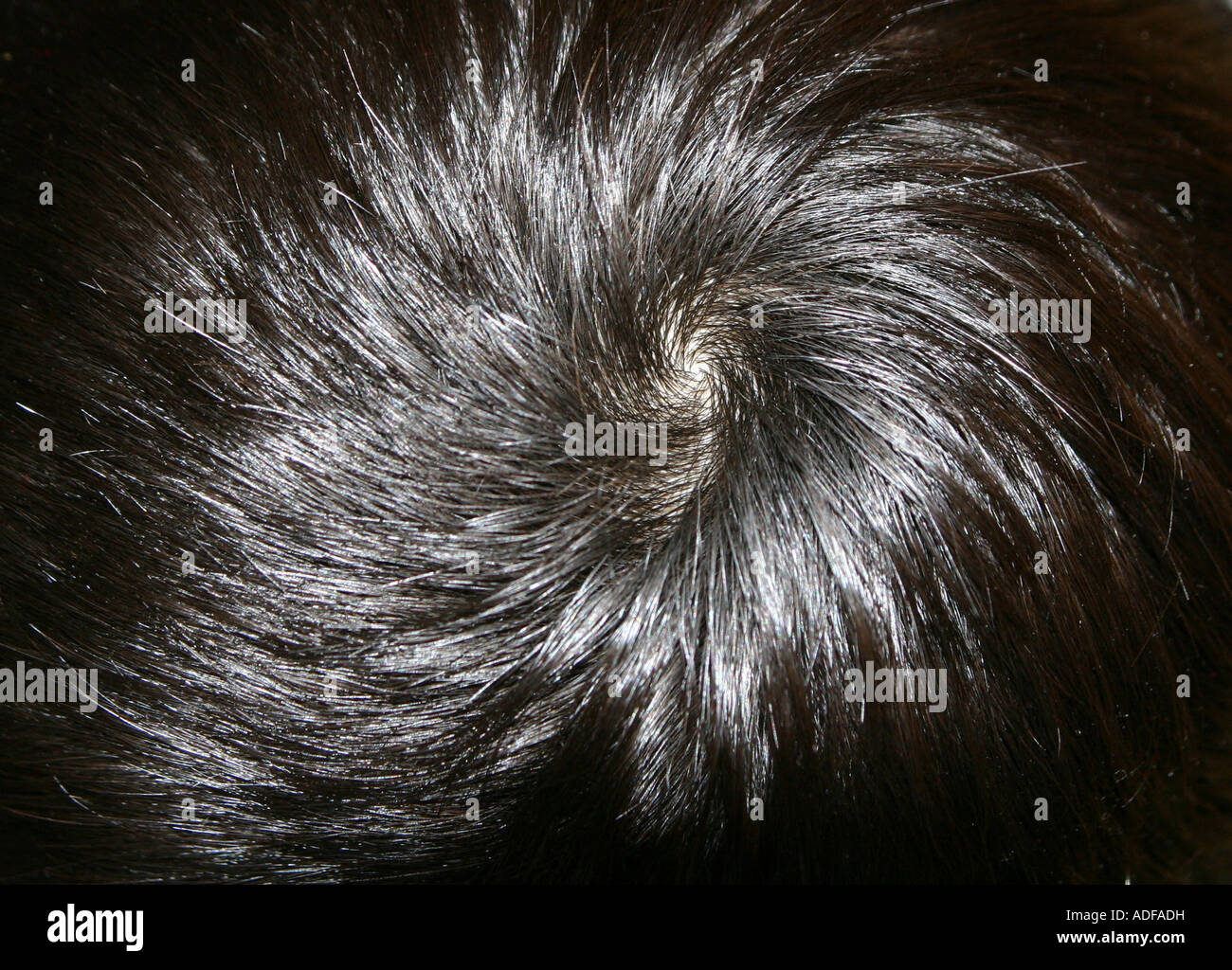 Crown of hair on boys head Stock Photo - Alamy