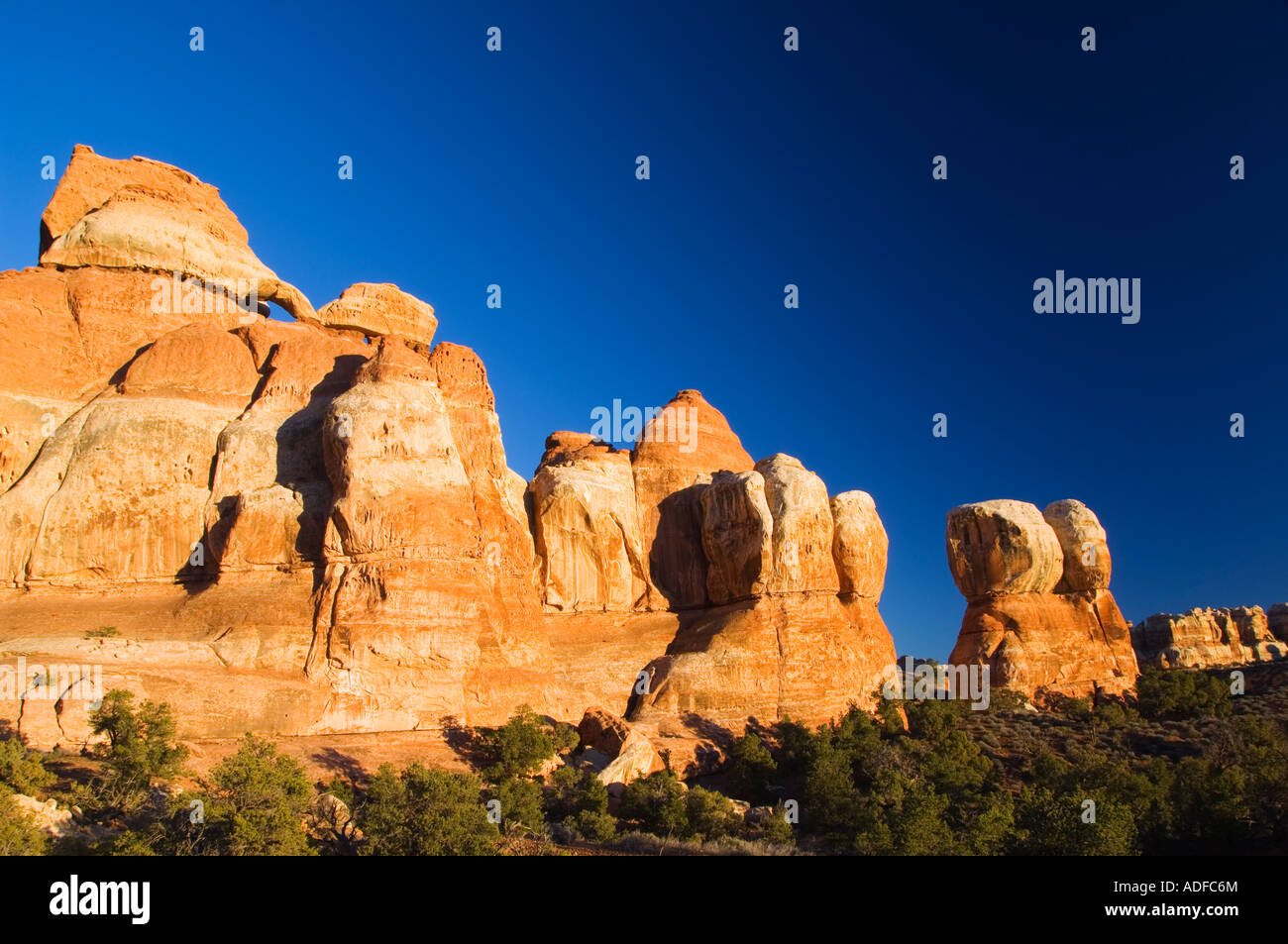 USA Utah Canyonlands National Park Cedar Mesa Sandstone Spires in the ...