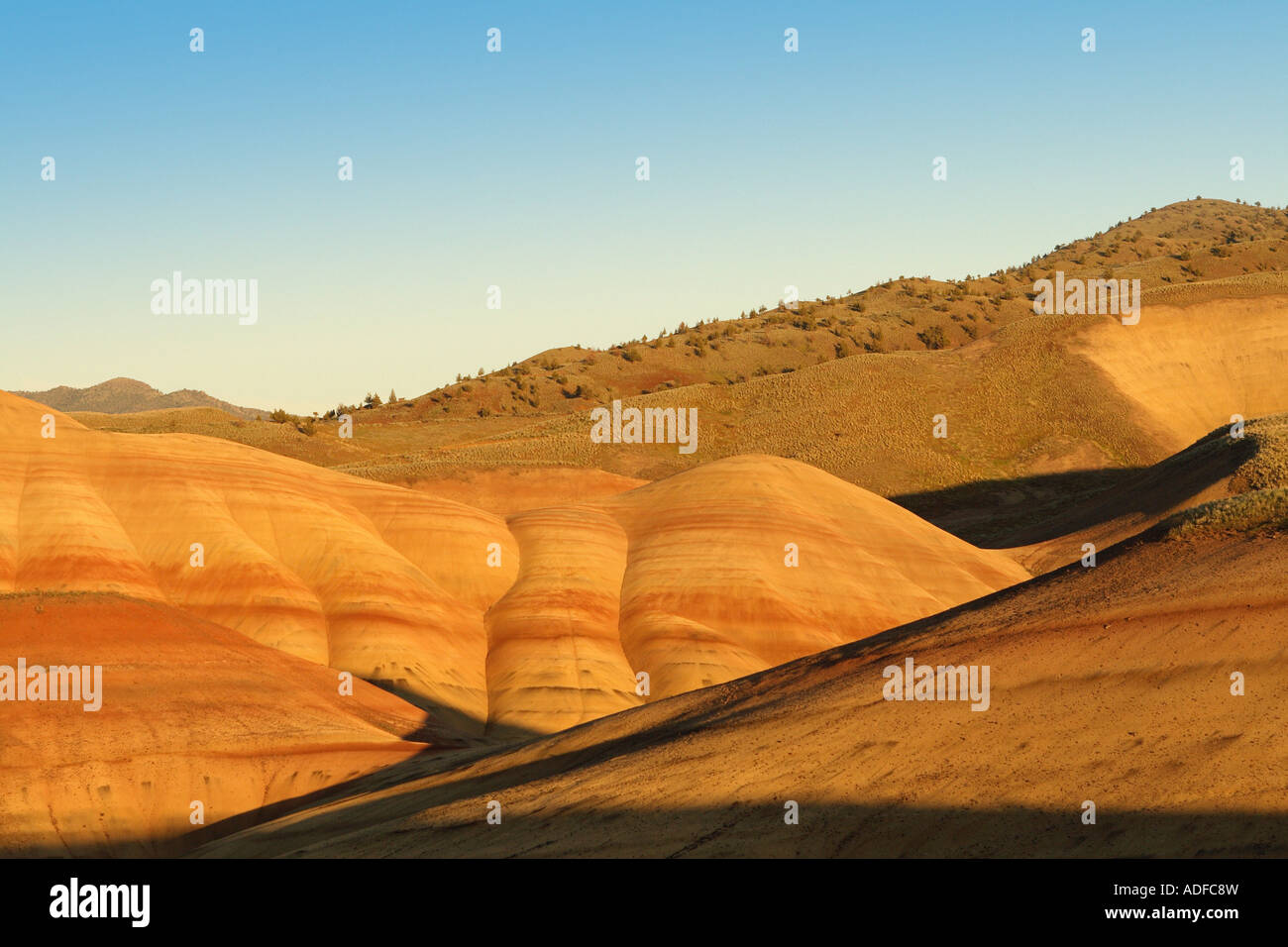 John Day Fossil Beds National Monument, Painted Hills Unit, Central