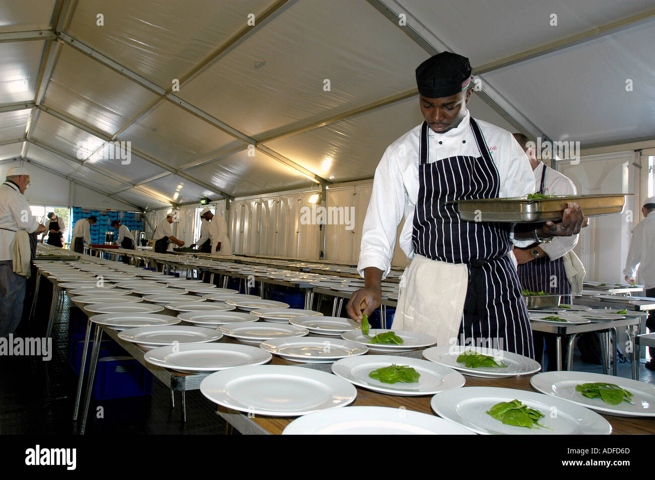 Chefs working in large kitchen preparing banquet dinner Stock Photo Alamy