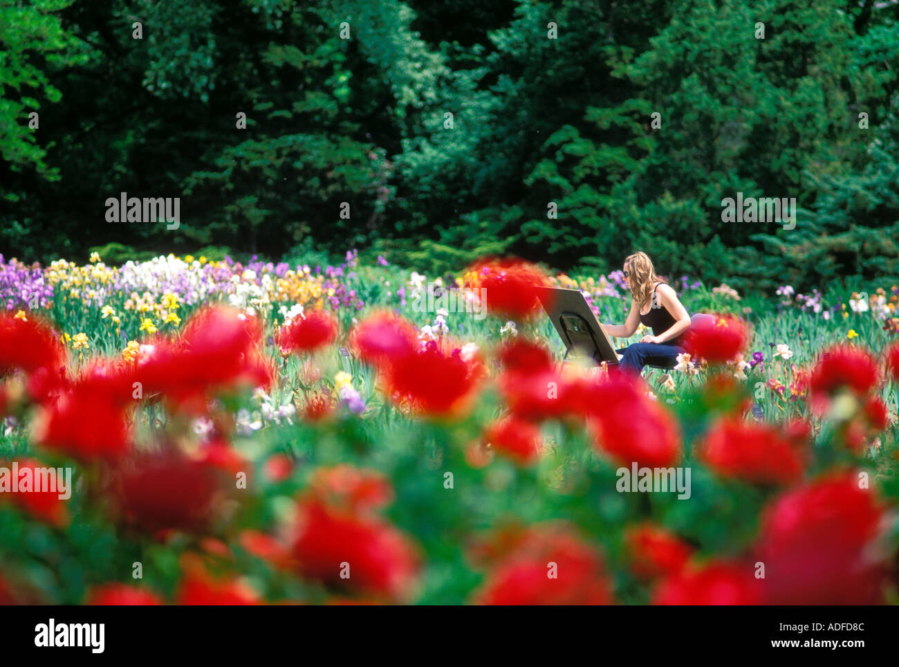 Canada Ontario Hamilton Royal Botanical Gardens young woman early 30 s painting in a field of flowers Stock Photo