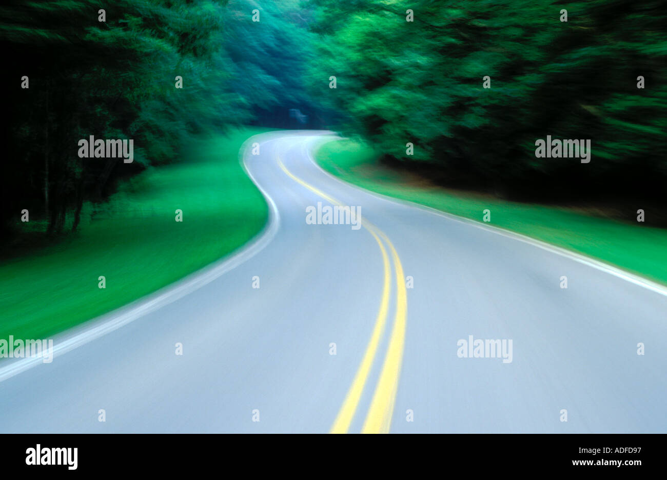 Blurred view of winding road through green woods Stock Photo
