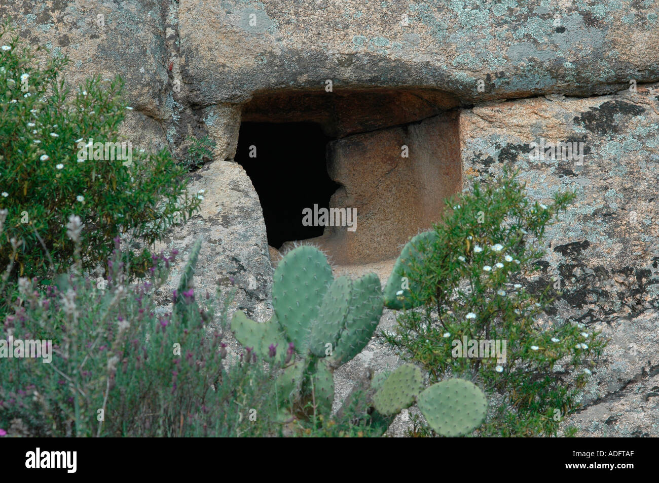 Entrance to a domus de janas Stock Photo Alamy