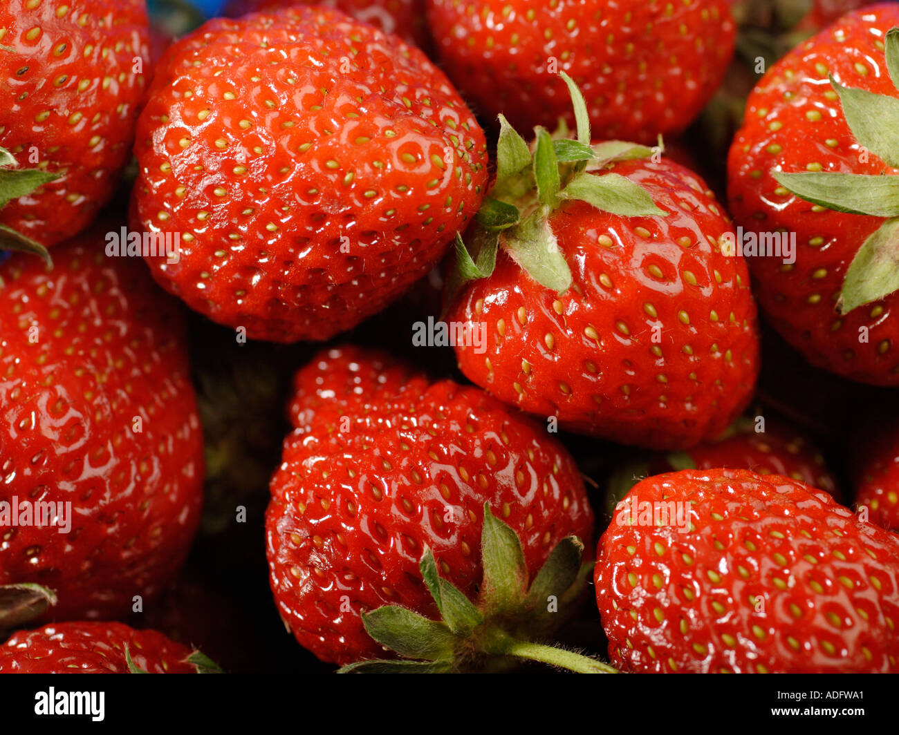 Strawberries full frame hi-res stock photography and images - Alamy