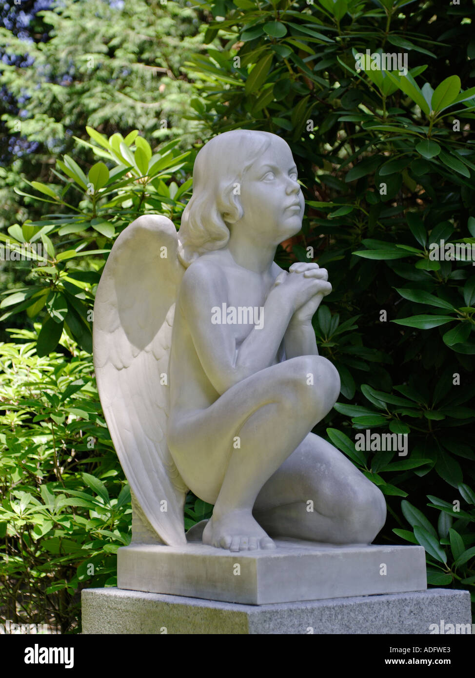 Praying cherub hi-res stock photography and images - Alamy
