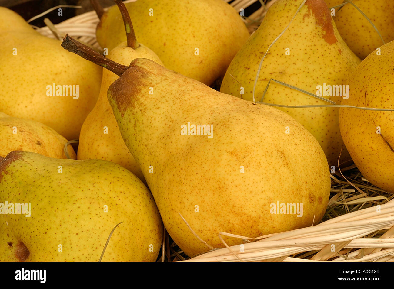 Trionfo di Packam pear Italy Stock Photo
