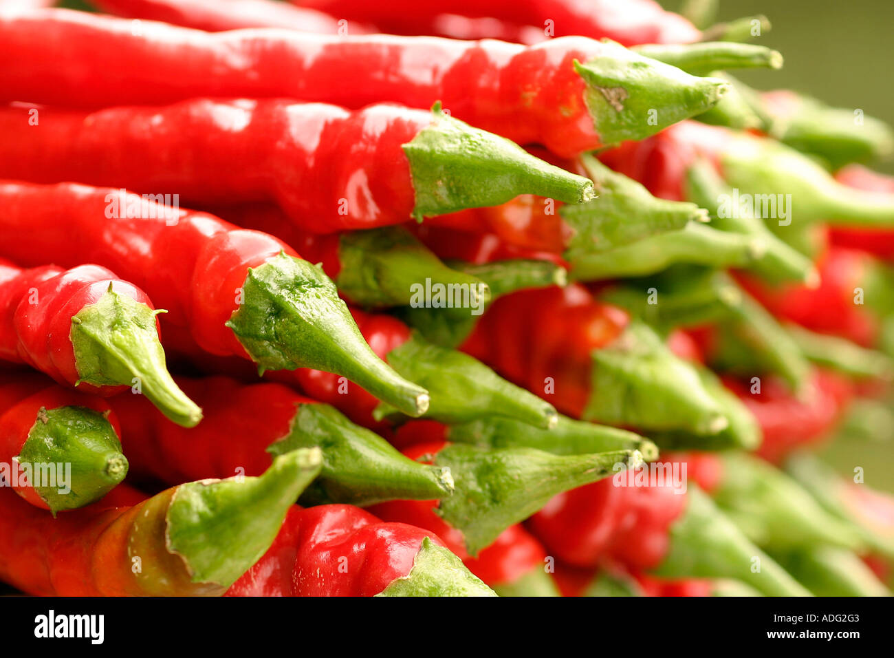 Capsicum annuum Italy Stock Photo