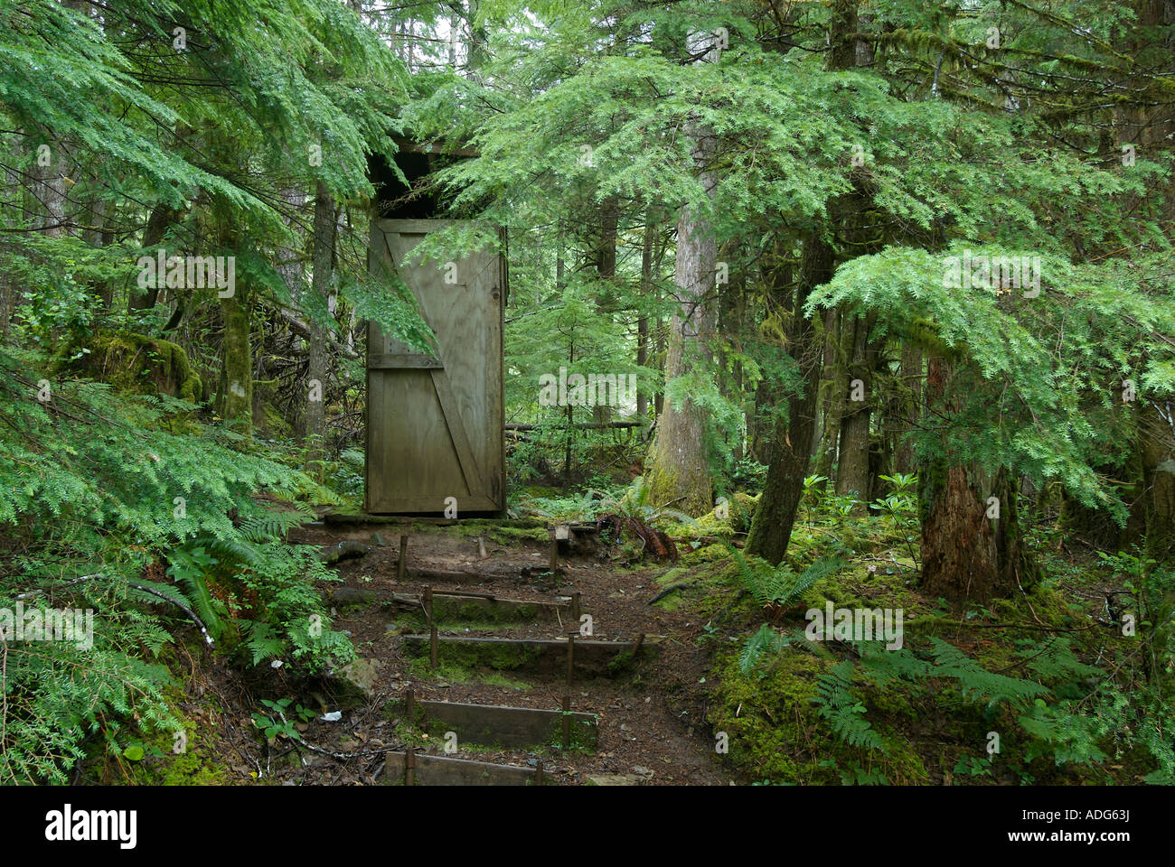 Isolated outhouse in Oregon forest Stock Photo
