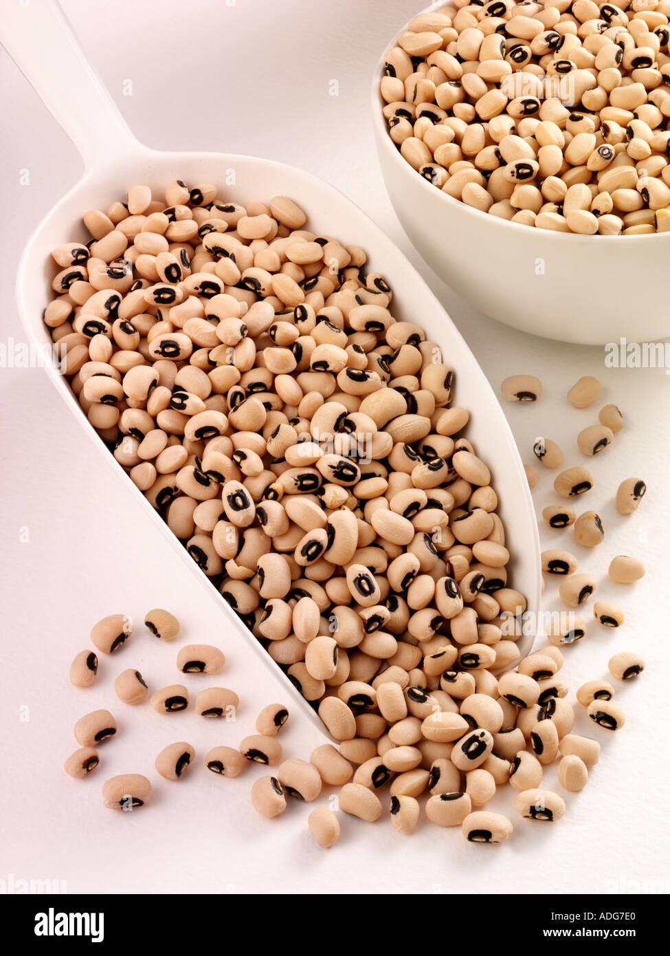 BLACK EYED BEANS IN SCOOP Stock Photo Alamy