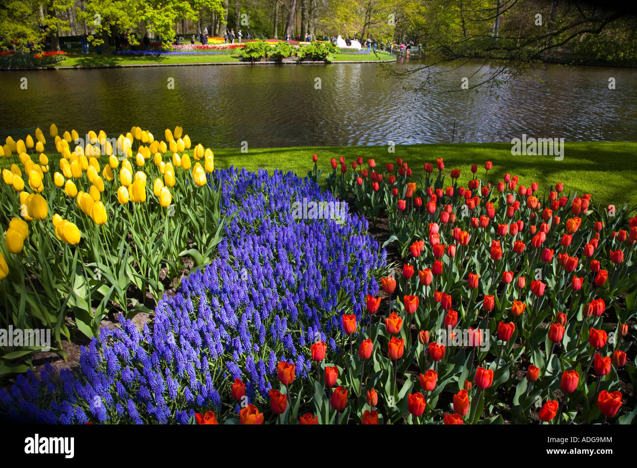 The Lake at Keukenhof Gardens in Lisse, Holland;Netherlands with tulips in bloom Stock Photo