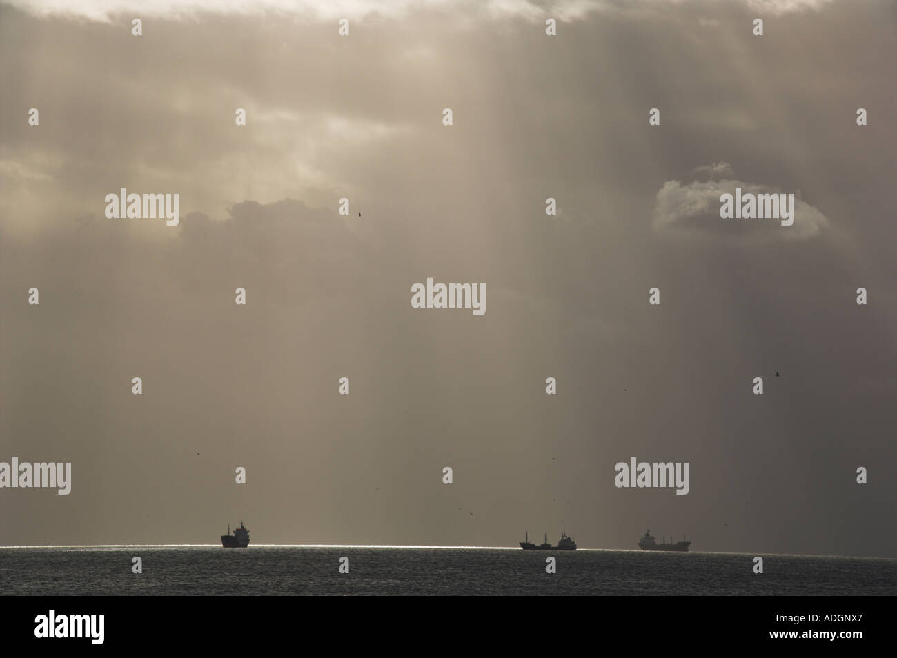 seascape Stock Photo