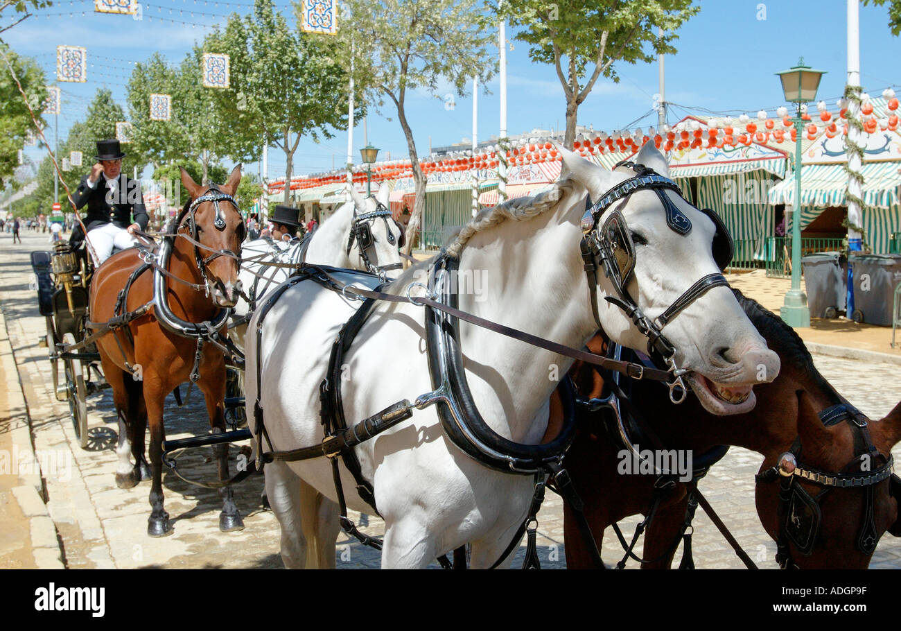 Four in hand driving through the streets of the April Fair Seville
