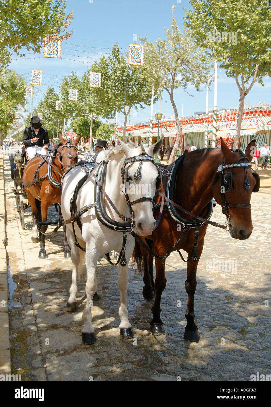 Four in hand driving through the streets of the April Fair Seville