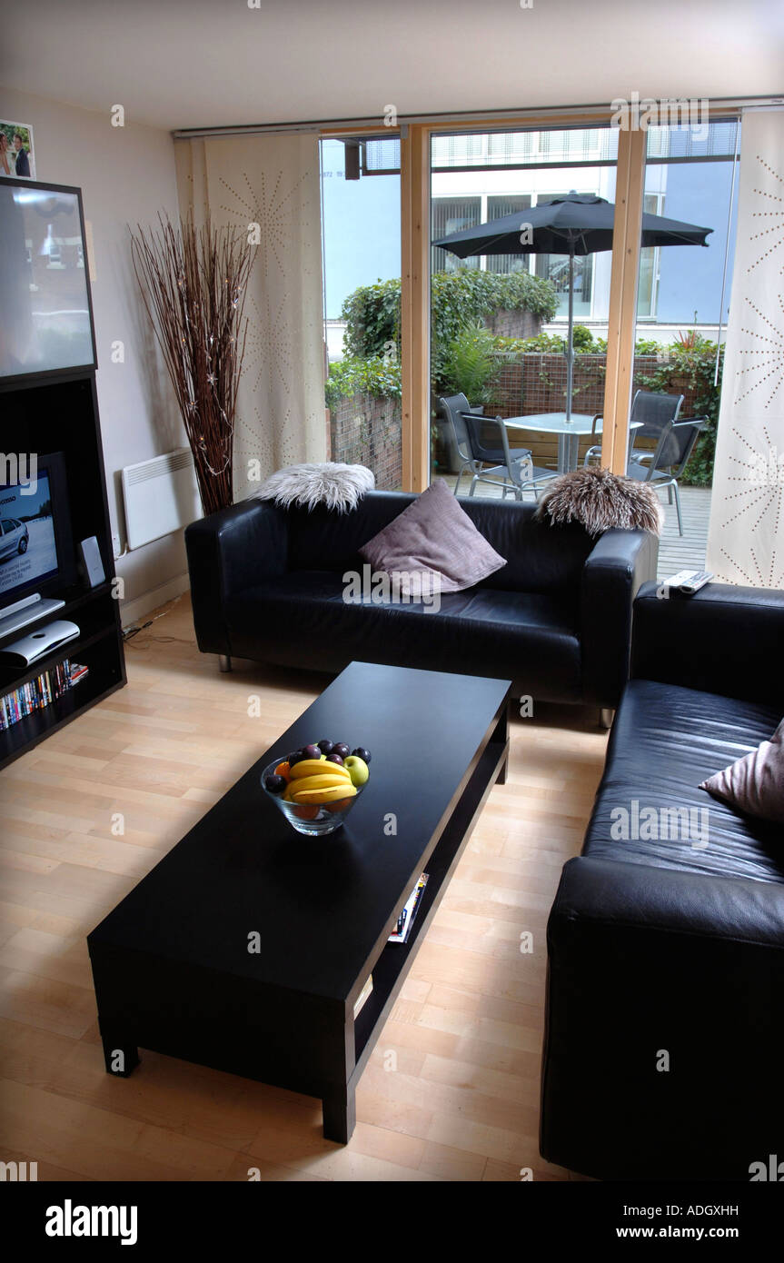 A LIVING ROOM AREA IN A CONTEMPORARY STUDIO FLAT UK 2007 Stock Photo
