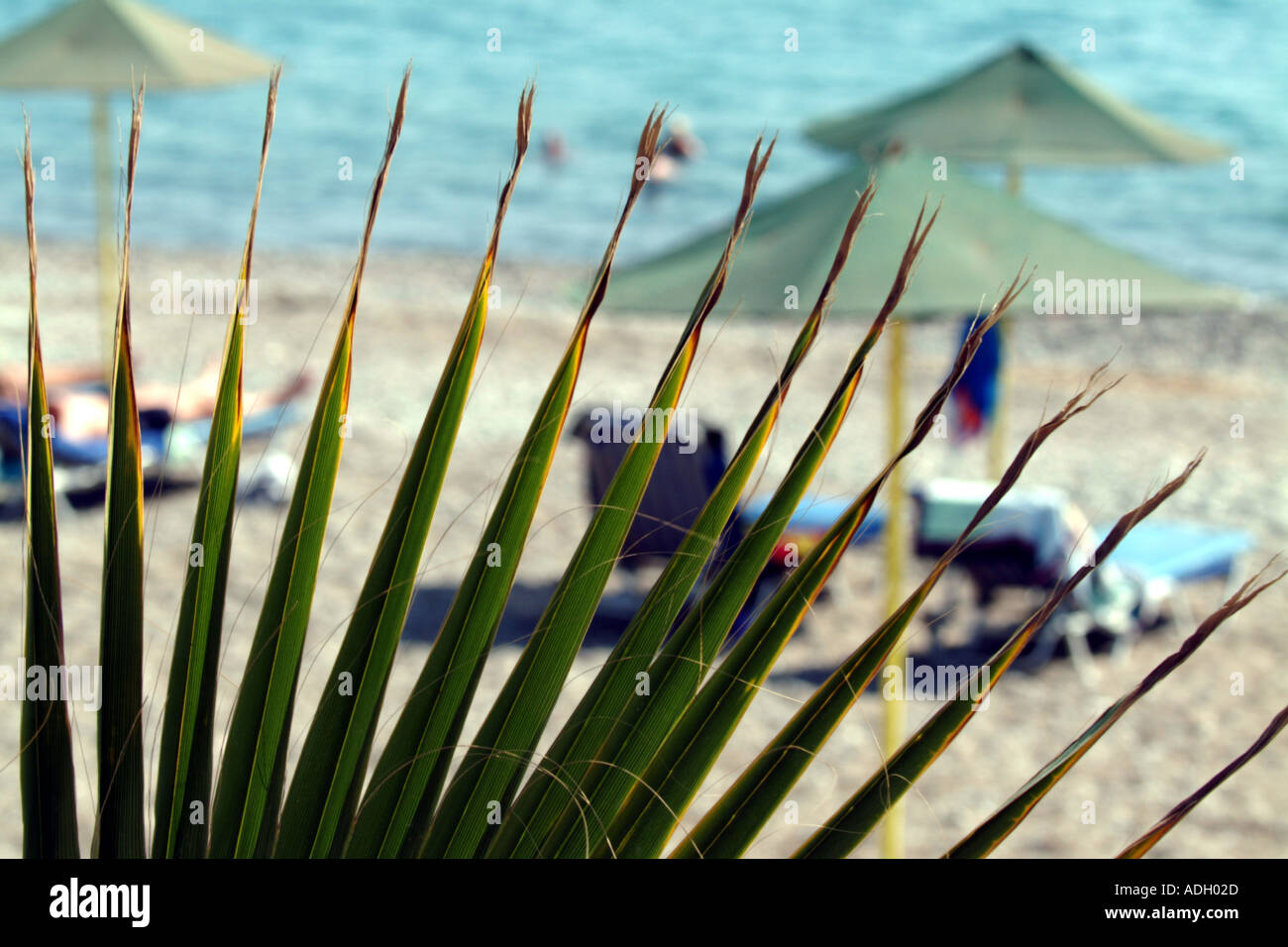 Spiaggia 1 hi-res stock photography and images - Alamy
