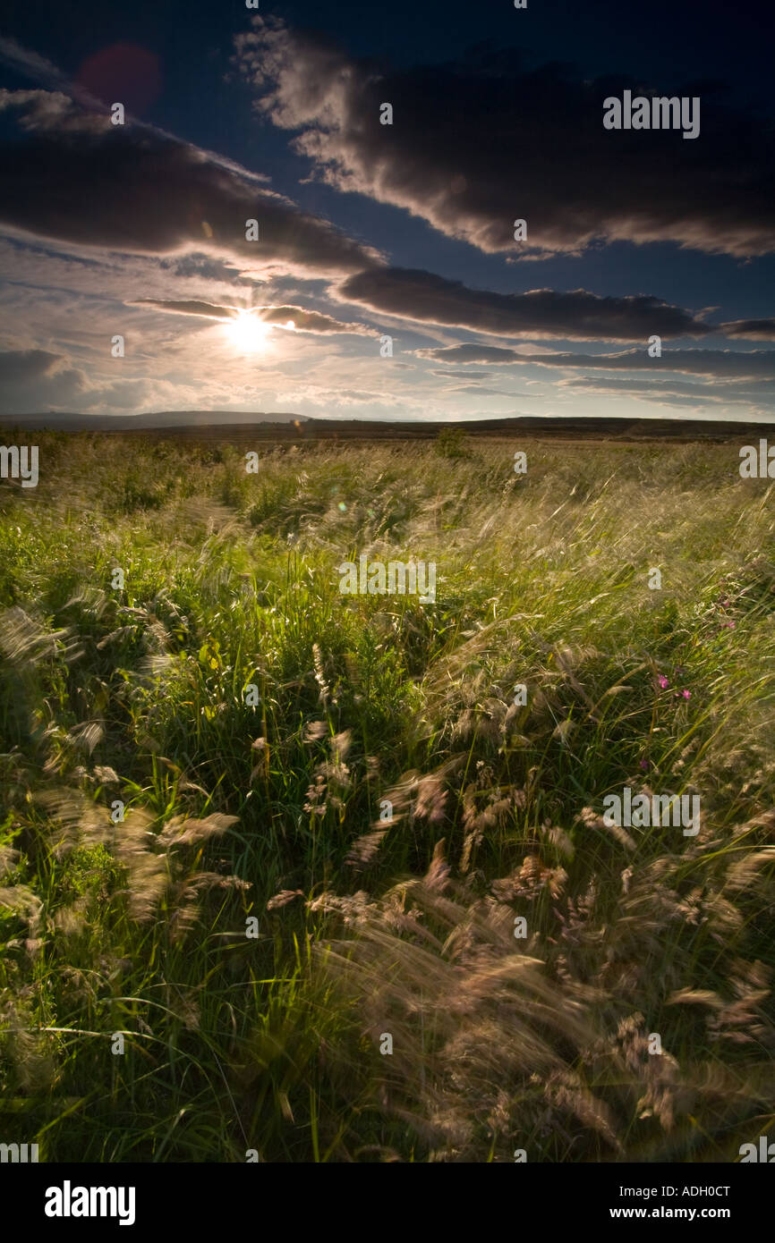 Heyshaw Moor, Yorkshire, England Stock Photo Alamy