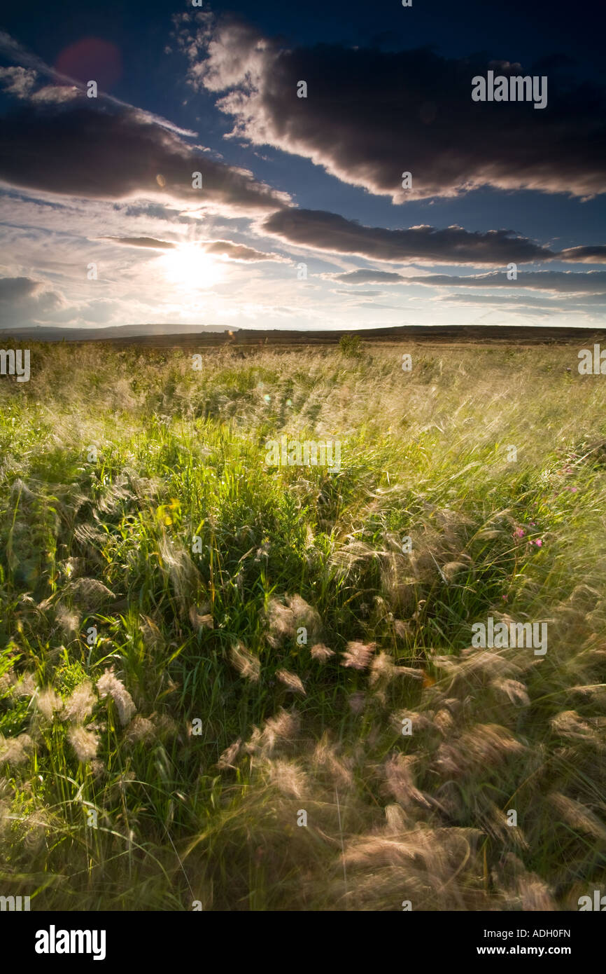 Heyshaw Moor, Yorkshire, England Stock Photo Alamy