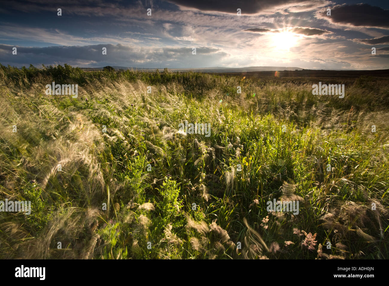 Heyshaw Moor, Yorkshire, England Stock Photo Alamy