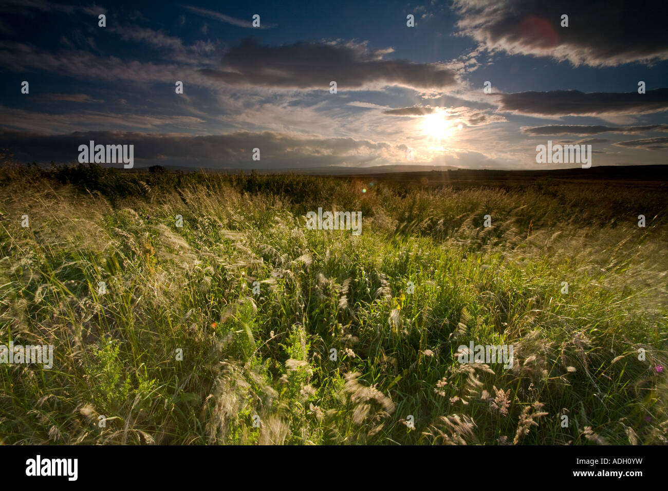 Heyshaw Moor, Yorkshire, England Stock Photo Alamy