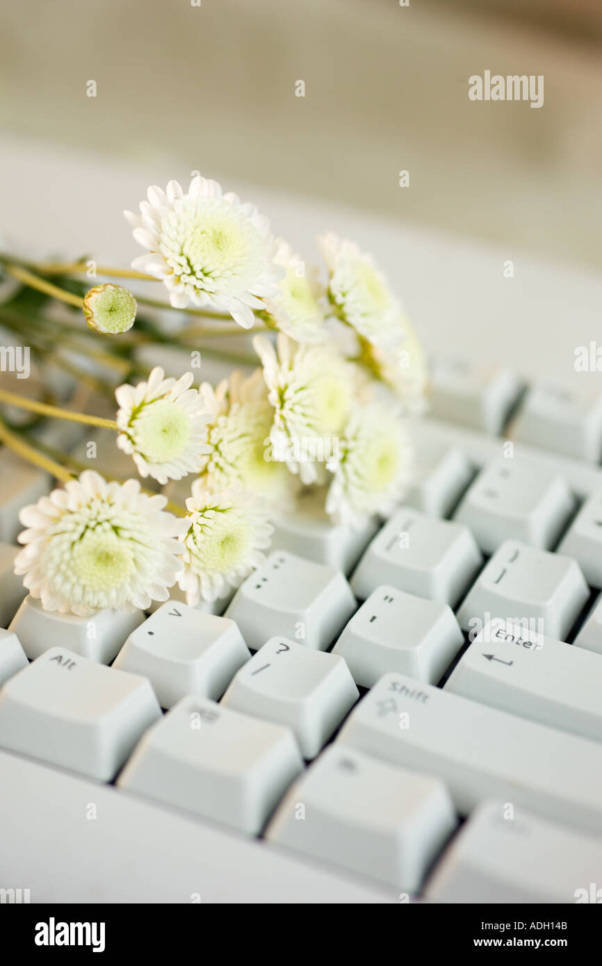 Still life of flowers on a computer keyboard Stock Photo Alamy
