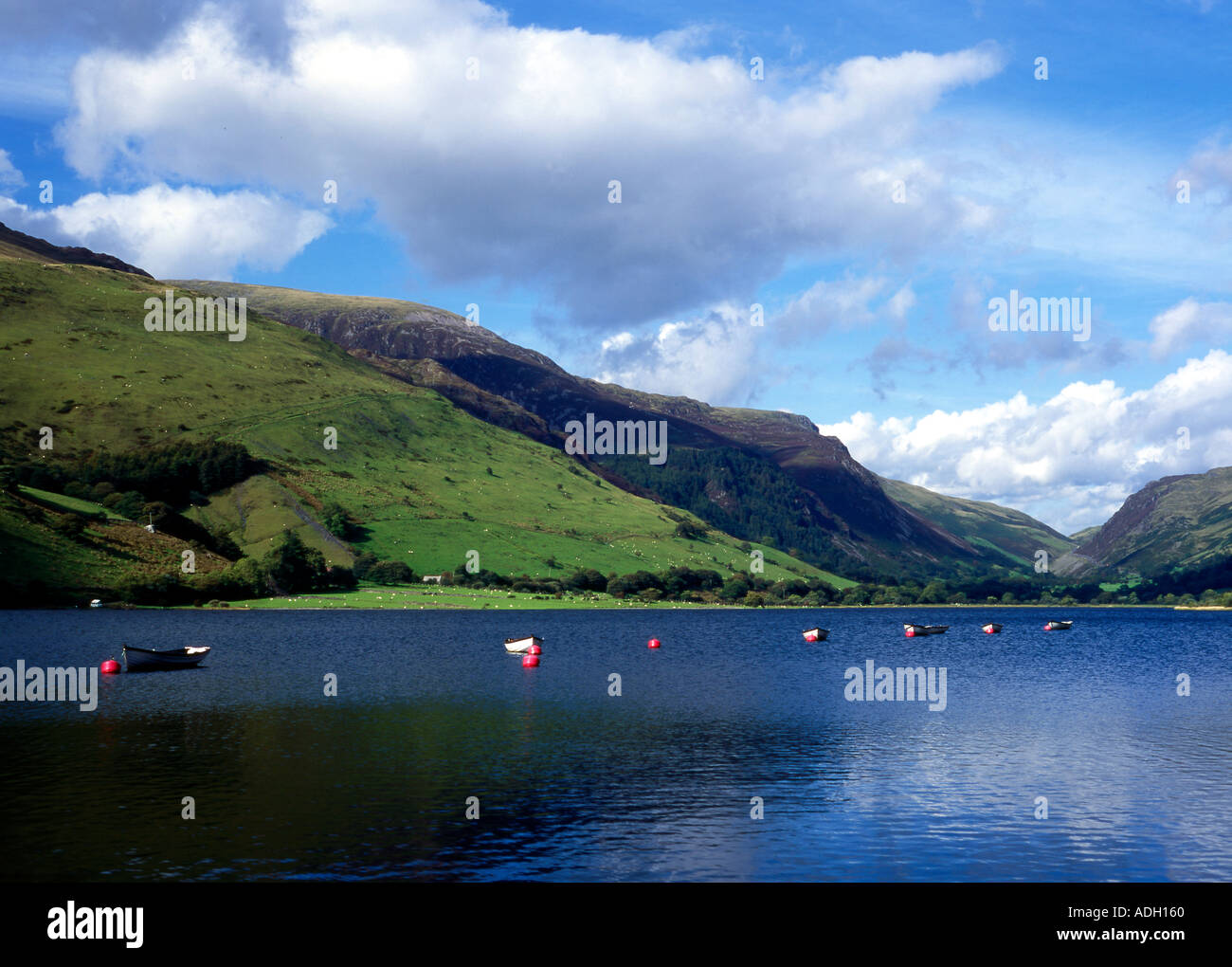 Boats on the Talyllyn lake in the Fathew Valley near Cader Idris in