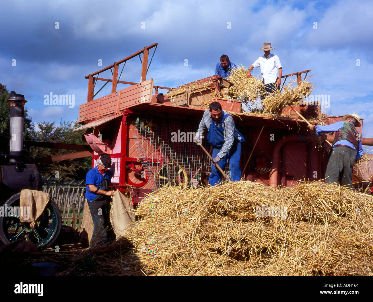 Threshing corn in the traditional way using a steam driven threshing machine at Manor Farm Museum Upper Hamble Country Park Stock Photo