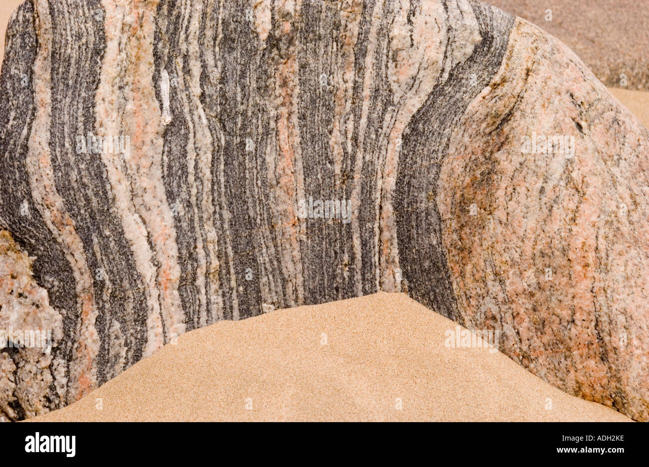 Gneiss metamorphic rock with mineral banding, Mangurstadh Dunes, Lewis,  Outer Hebrides, Scotland, UK, Europe Stock Photo - Alamy