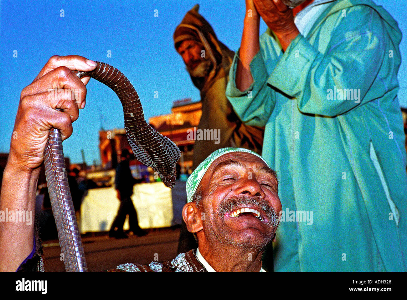 snake charmer morroco marrakesh Stock Photo Alamy