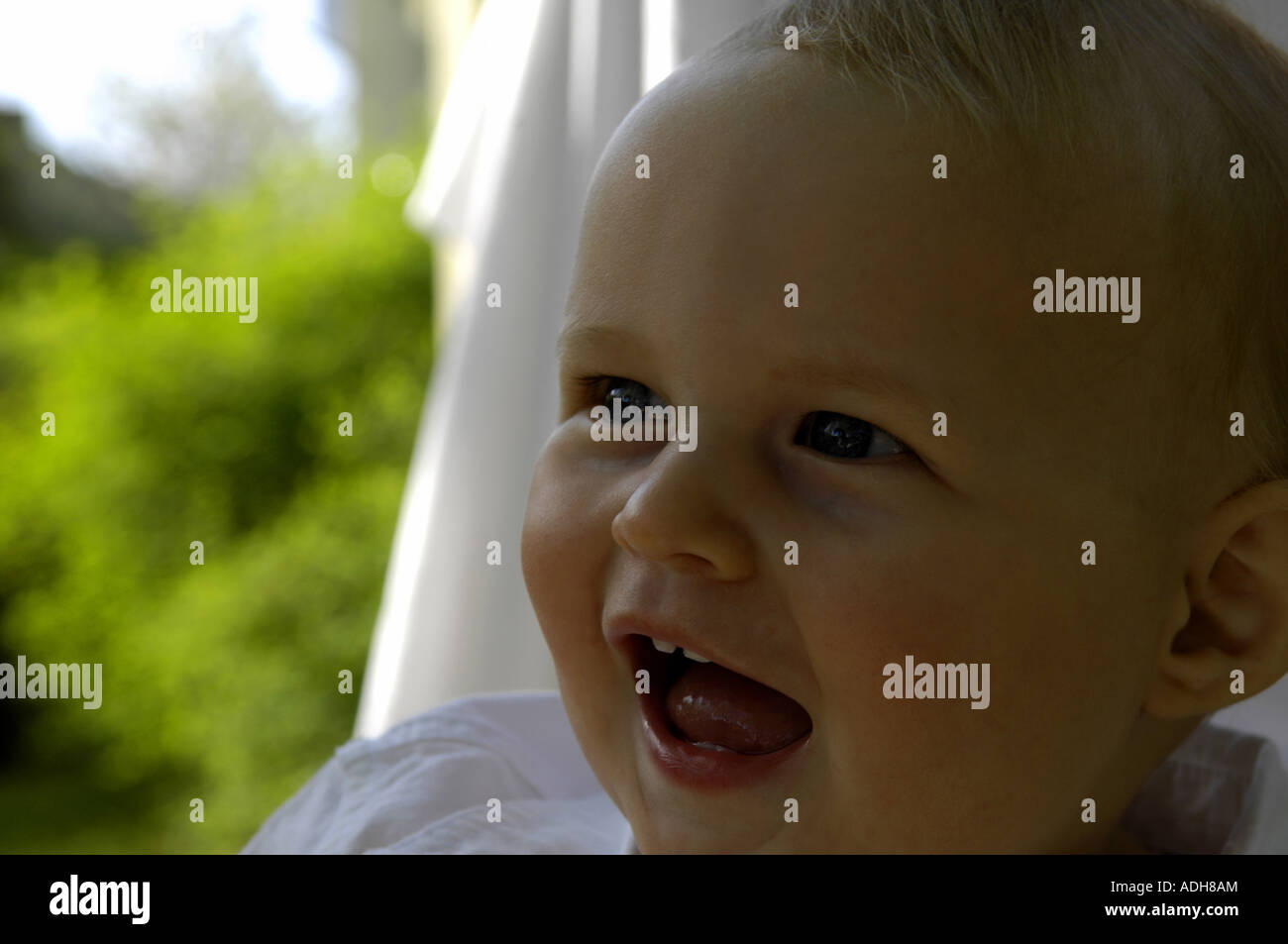 portrait of baby boy Stock Photo - Alamy
