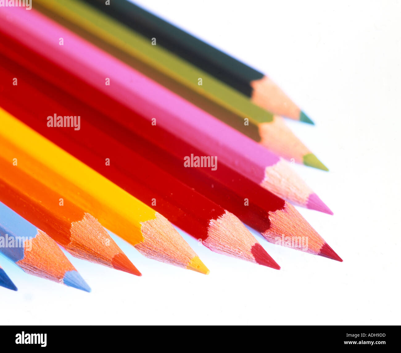 colorful pencils studio shot Stock Photo