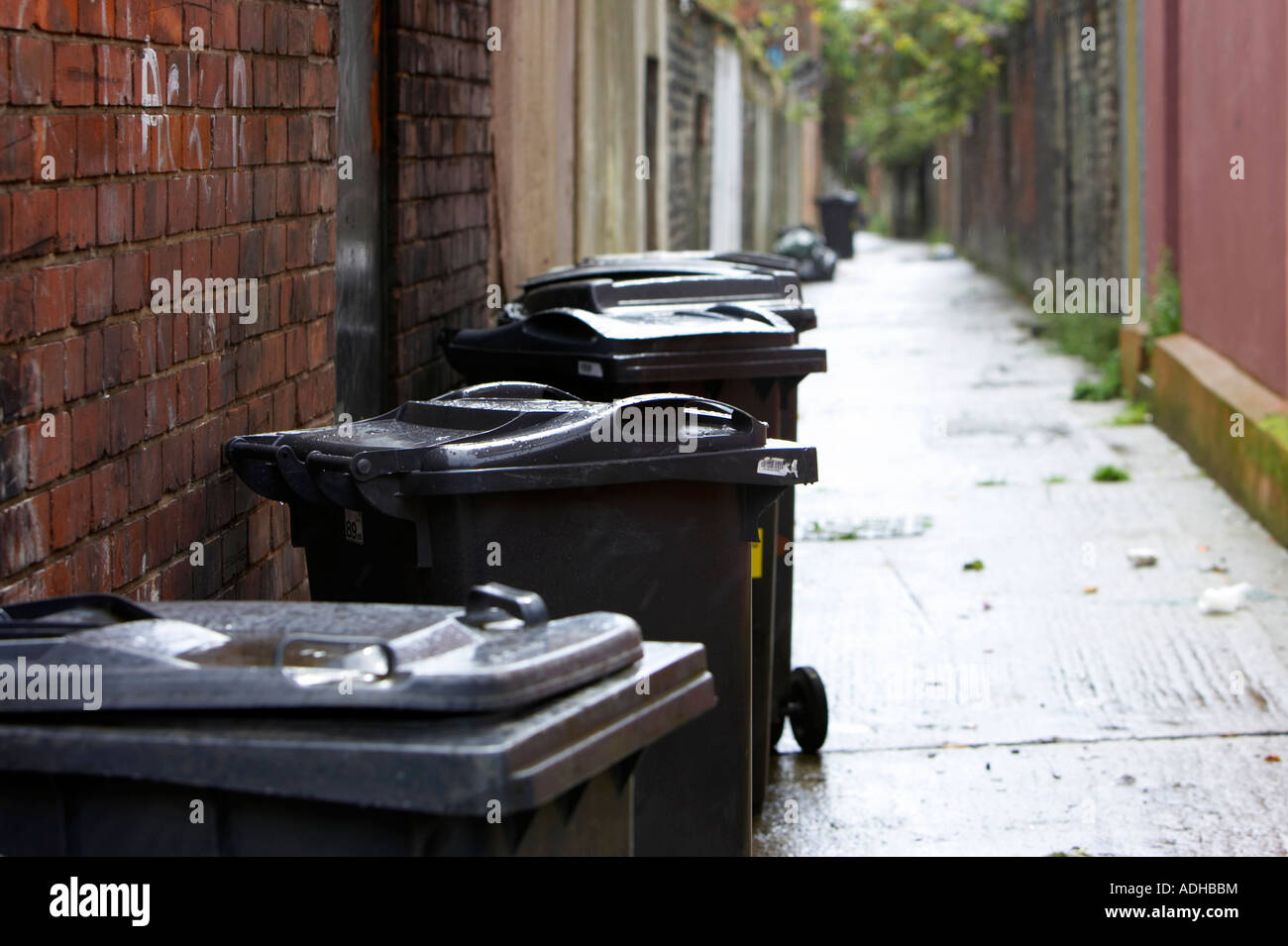 wet wheelie bins lined up in alleyway behind victorian terraced housing in inner city area of north belfast Stock Photo