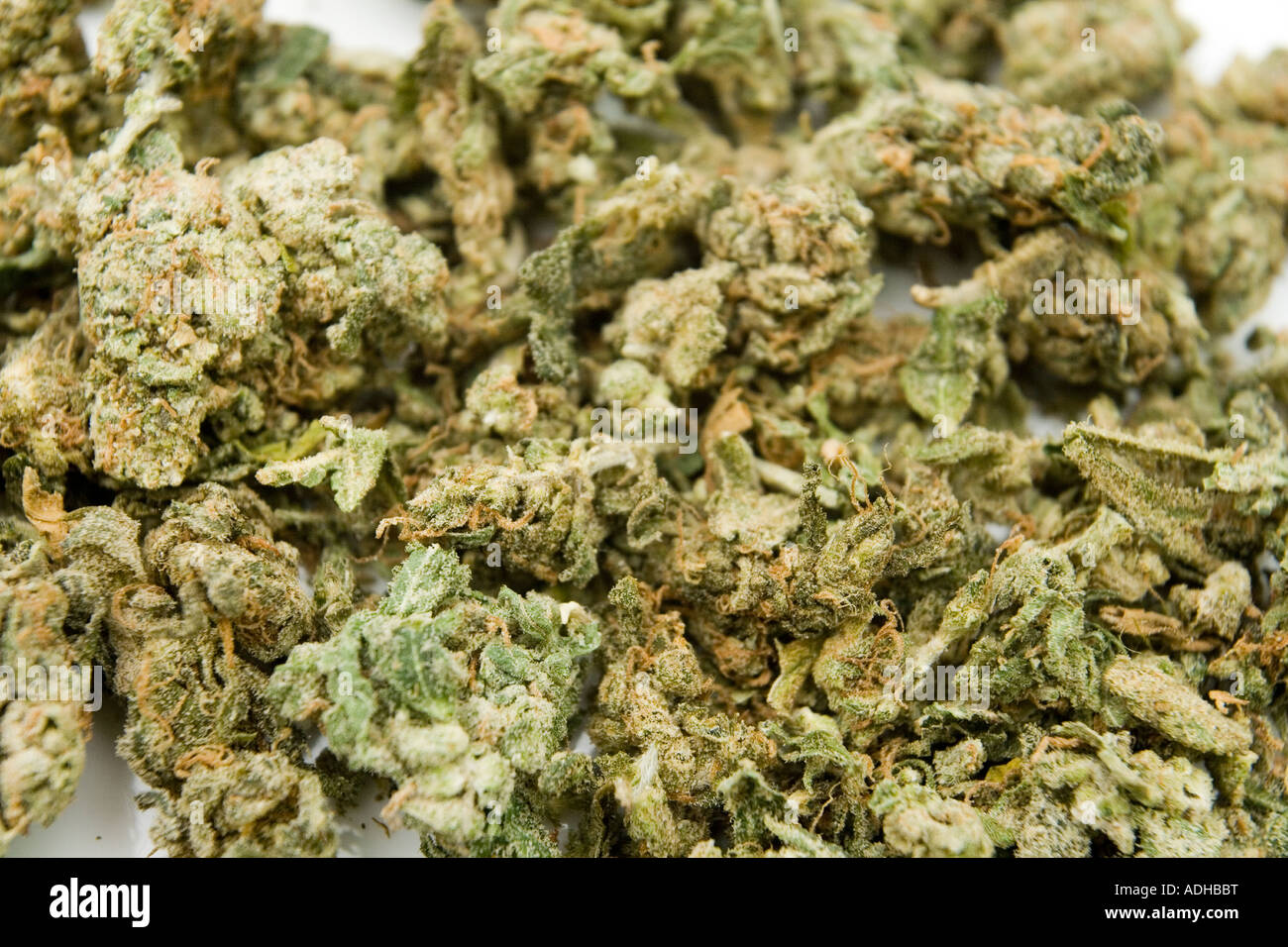 Close up of herbal marijuana Stock Photo