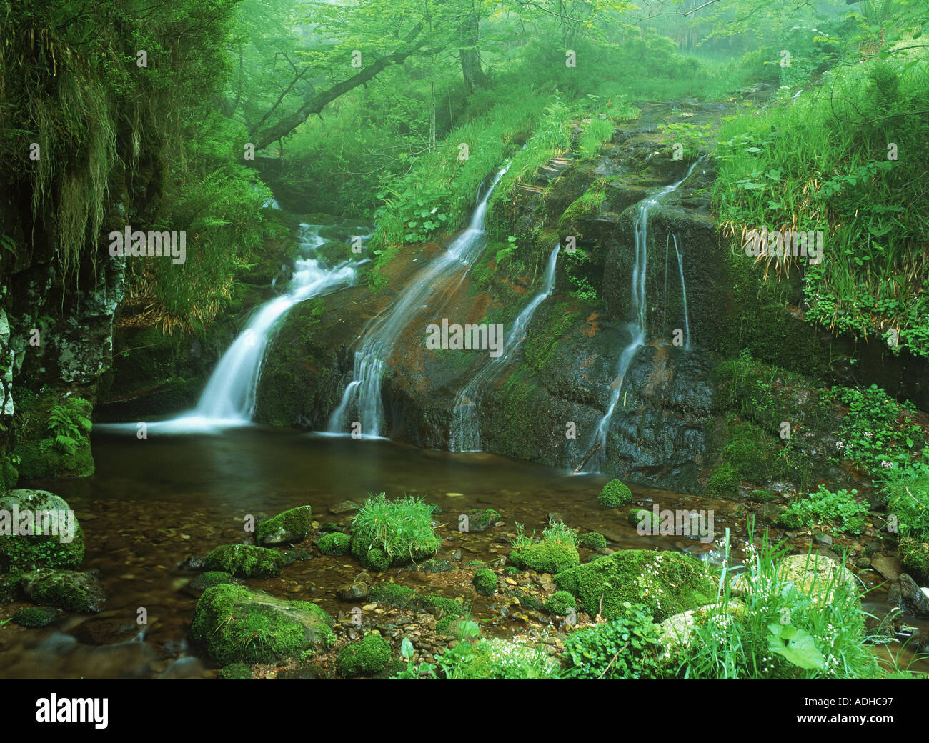 Stream falling down mossy slope into small pond in mountains of northern Spain Stock Photo