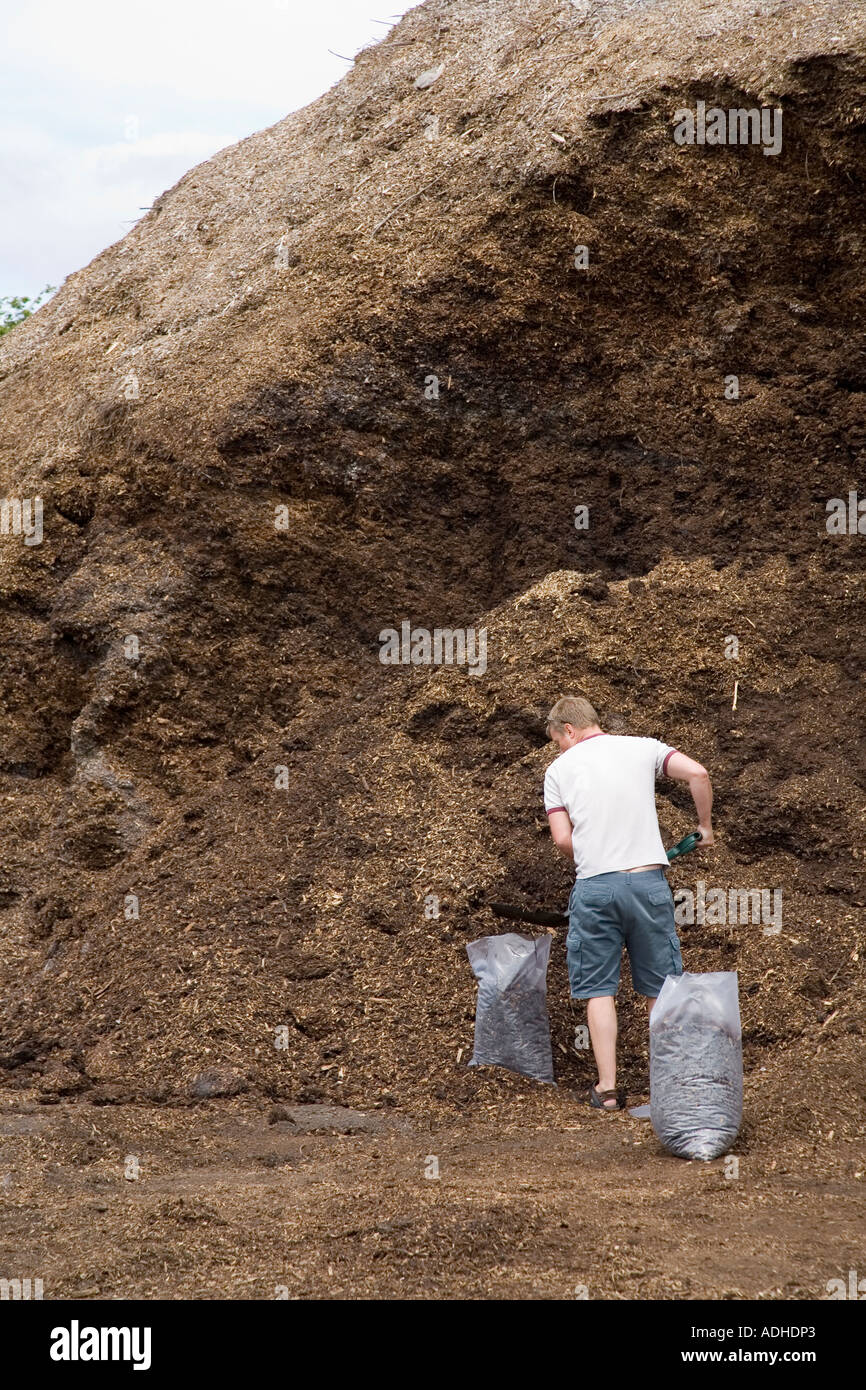 Man bagging wood chippings for garden use at a garden centre Wales UK Stock Photo