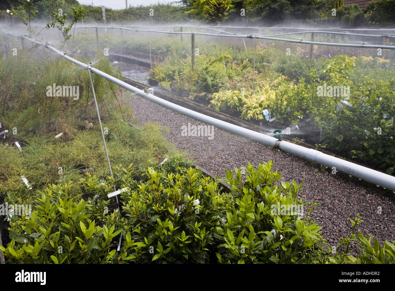 Automatic water spray for garden centre nursery plants Cardiff Wales UK