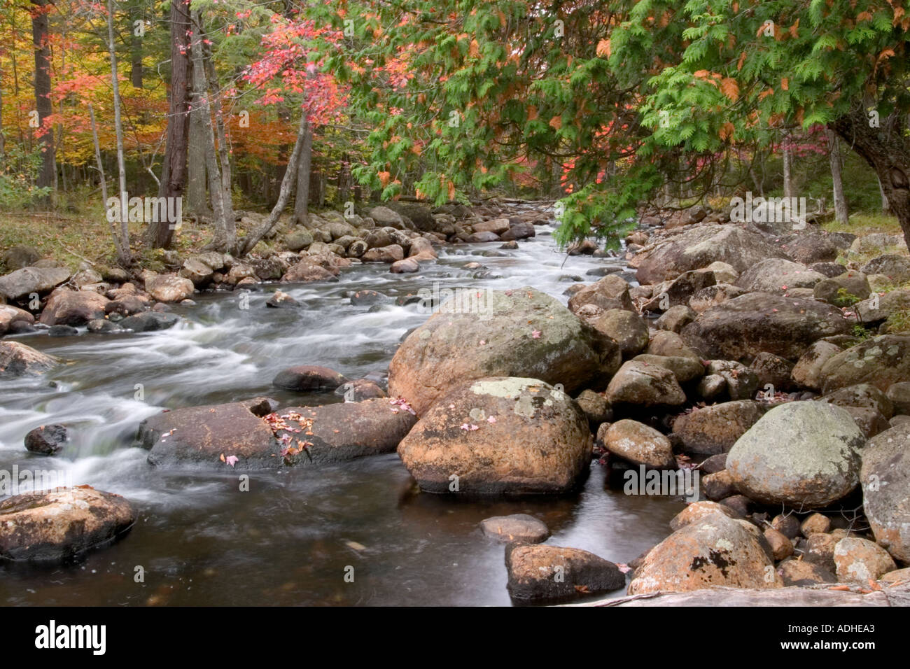 North Branch of the Moose River in the Adirondack Mountains of New York