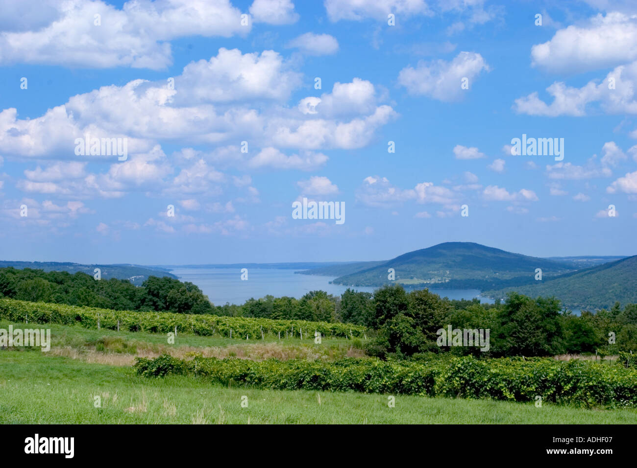 Grape vineyards on hills above Canandaigua Lake in the Finger Lakes region of New York State USA Stock Photo