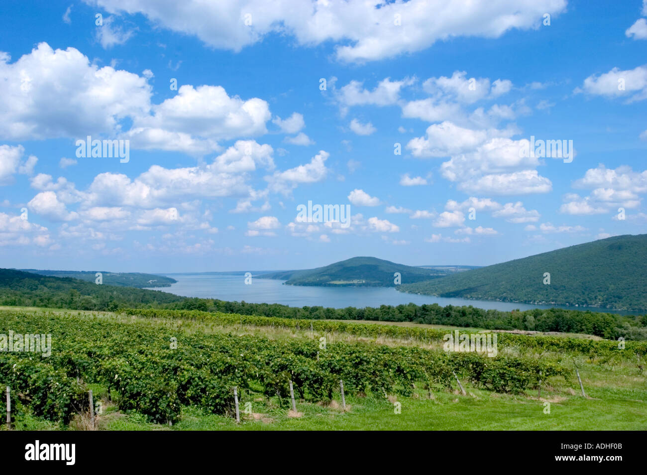 Grape vineyards on hills above Canandaigua Lake in the Finger Lakes region of New York State USA Stock Photo