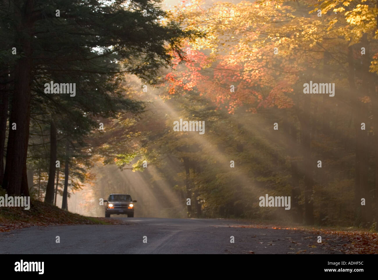 Lone car on road in backlit fog in fall colored trees in Chestnut Ridge Park in Western New York State Stock Photo