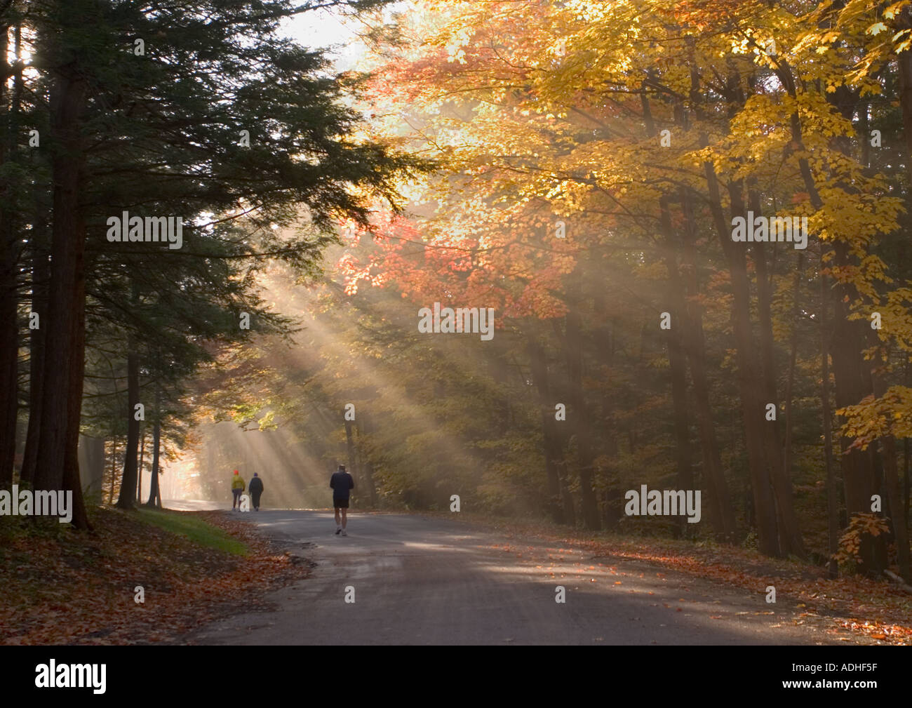 People walking on road in backlit fog in fall colored trees in Chestnut Ridge Park in Western New York State Stock Photo
