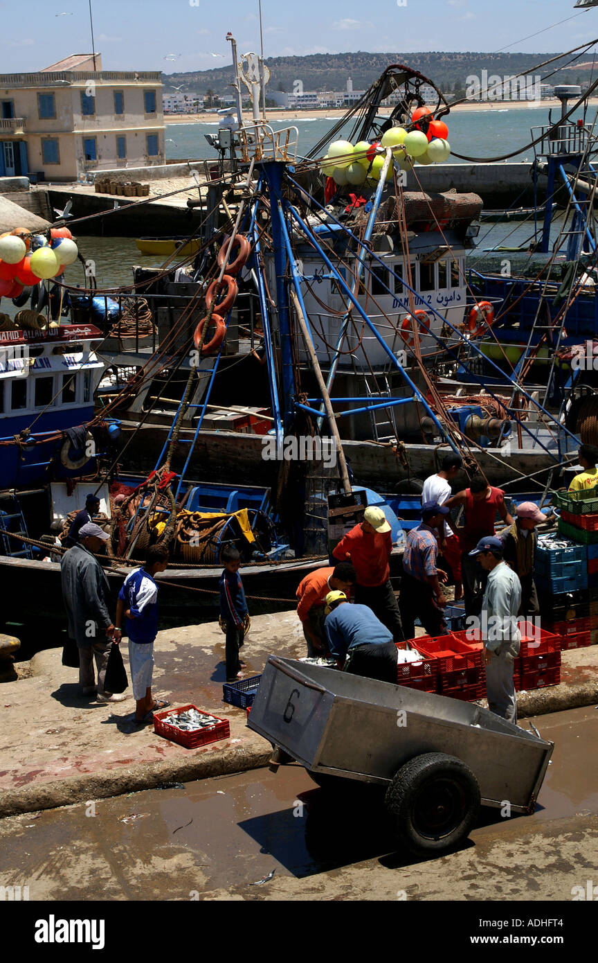 Fish trading in port of Essaouira Morocco Stock Photo