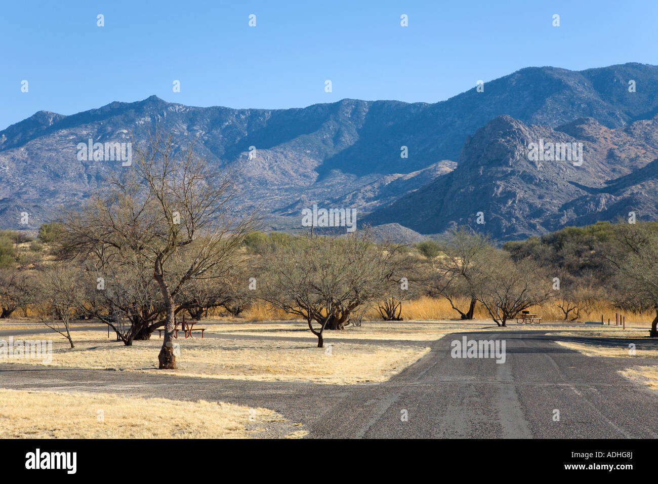 Campground at Catalina State Park near Tucson, Arizona, USA Stock Photo