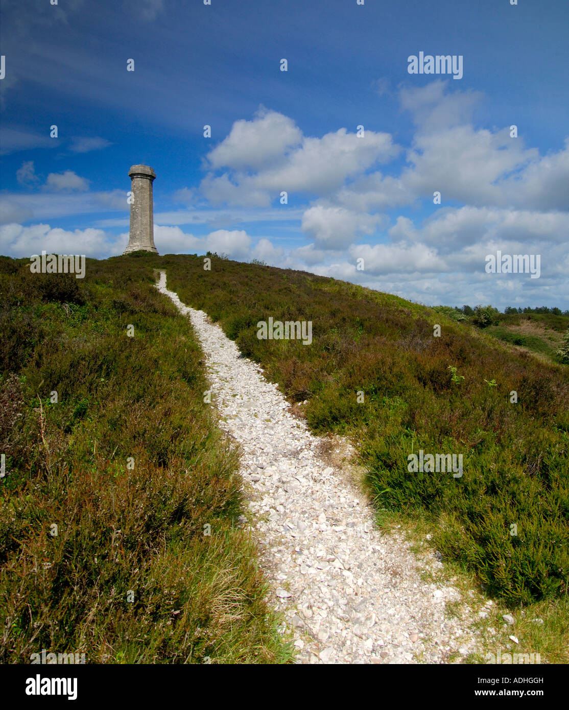 The National Trust protected Hardy Monument on Black Down near Portesham Dorset in memory of Vice admiral Thomas Masterman Hardy Stock Photo