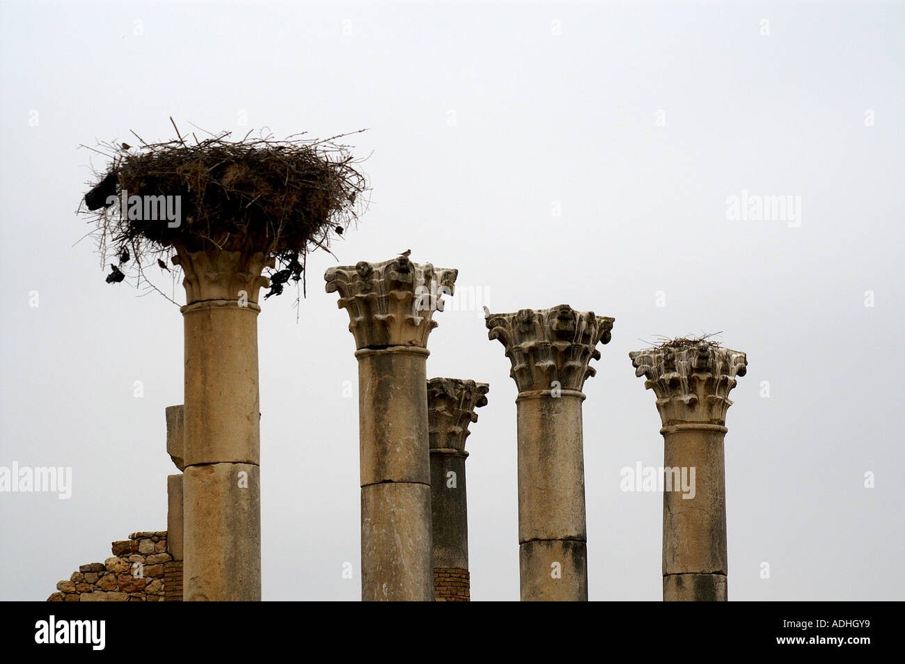 Fabu High Resolution Stock Photography And Images Alamy