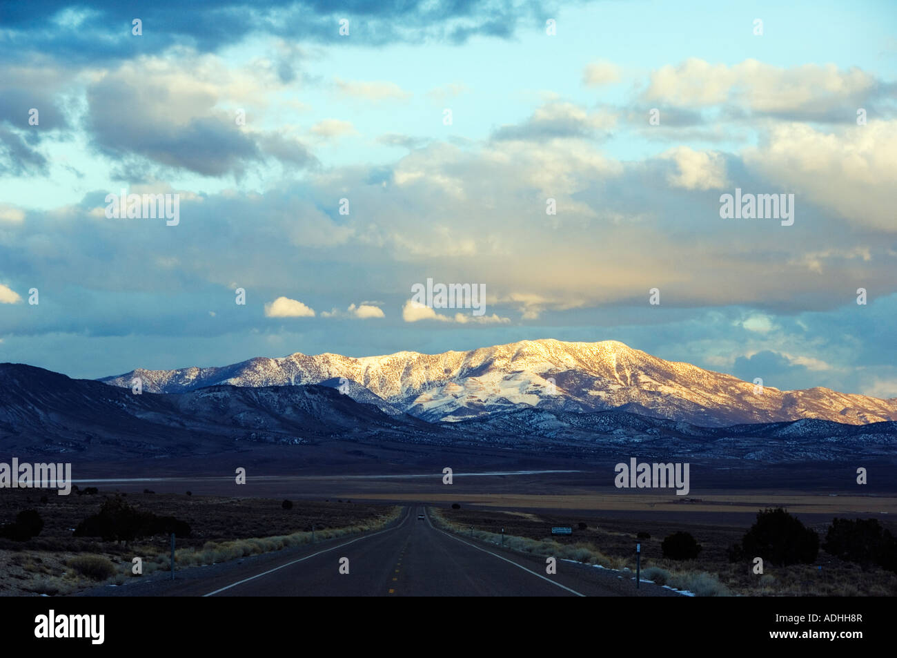 Roadkill On Endless Highway Of American >> Usa Nevada Never Ending Straight Road Of America Scenery On Us Route Roadkill On Endless Highway Of American >> Usa Nevada Never Ending Straight Road Of America Scenery On Us Route