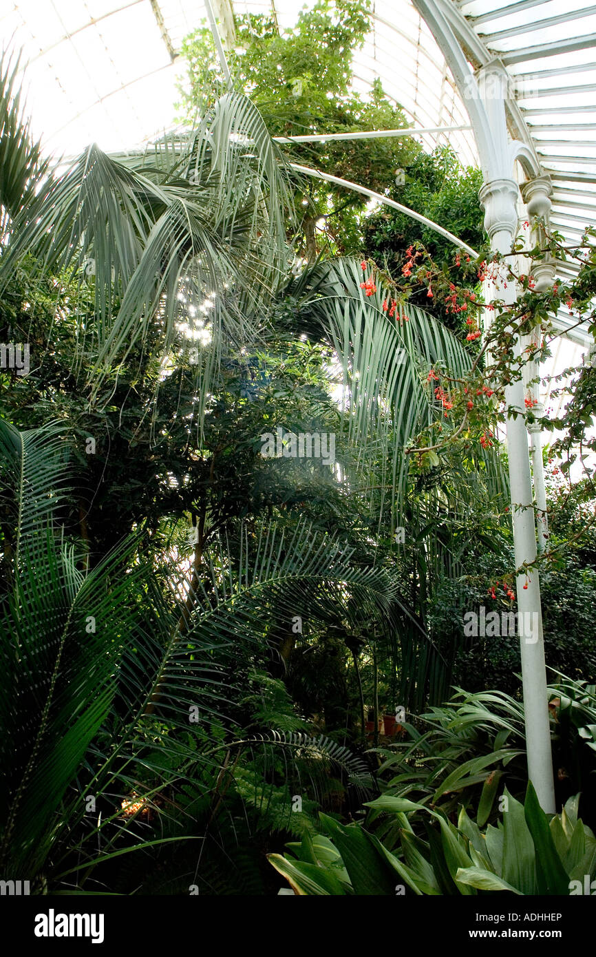 Palm House Botanic Gardens Belfast Northern Ireland Stock Photo Alamy