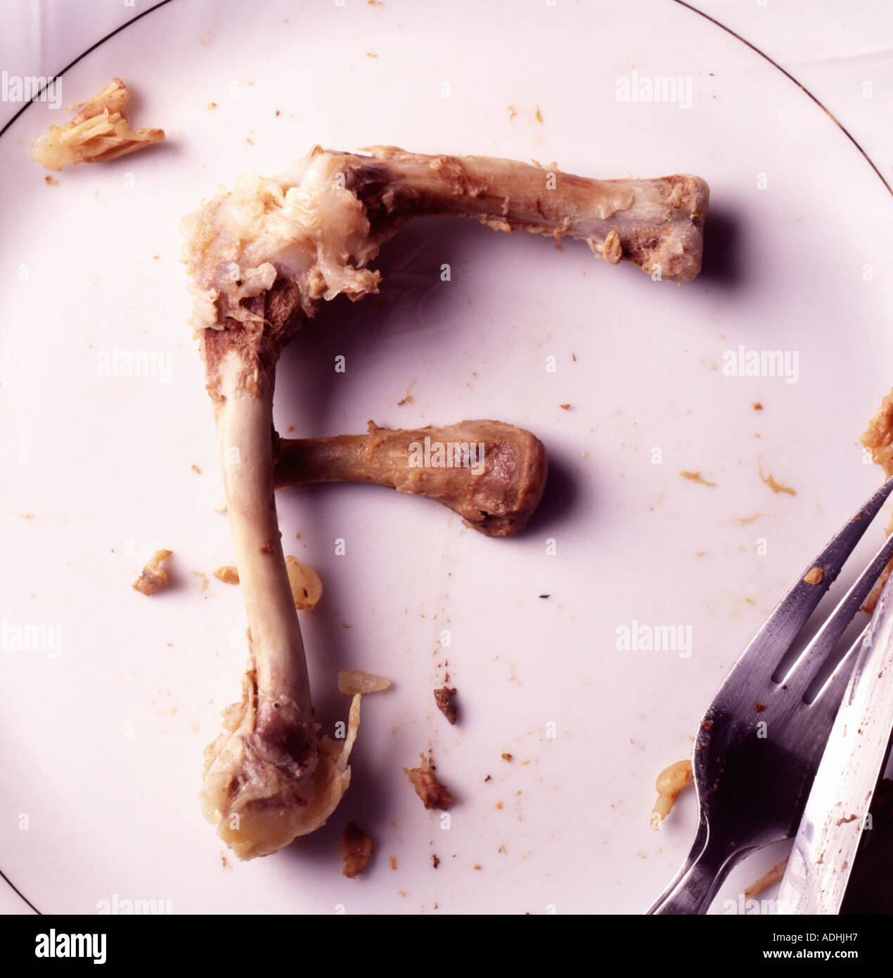 F Letter shaped from chicken bones Stock Photo